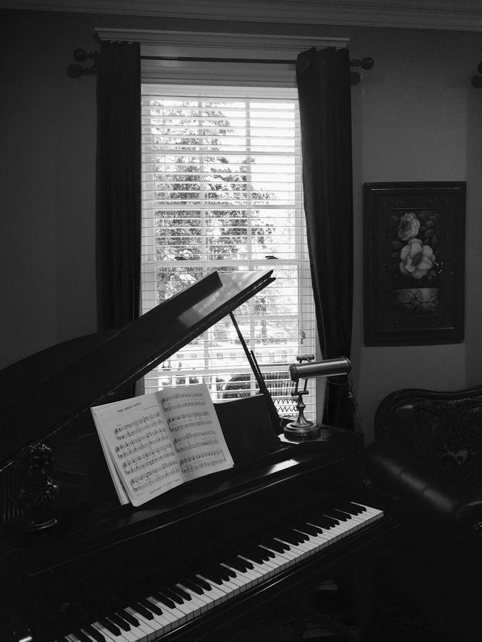 Bama Bed And Breakfast - Chimes Suite Tuscaloosa Εξωτερικό φωτογραφία