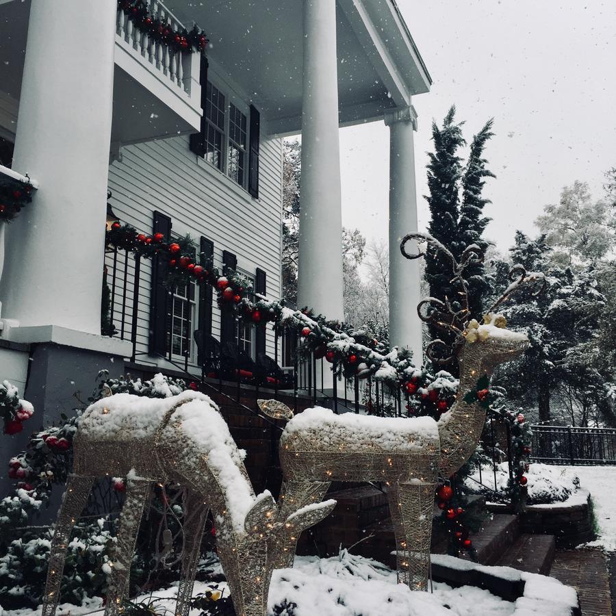Bama Bed And Breakfast - Chimes Suite Tuscaloosa Εξωτερικό φωτογραφία